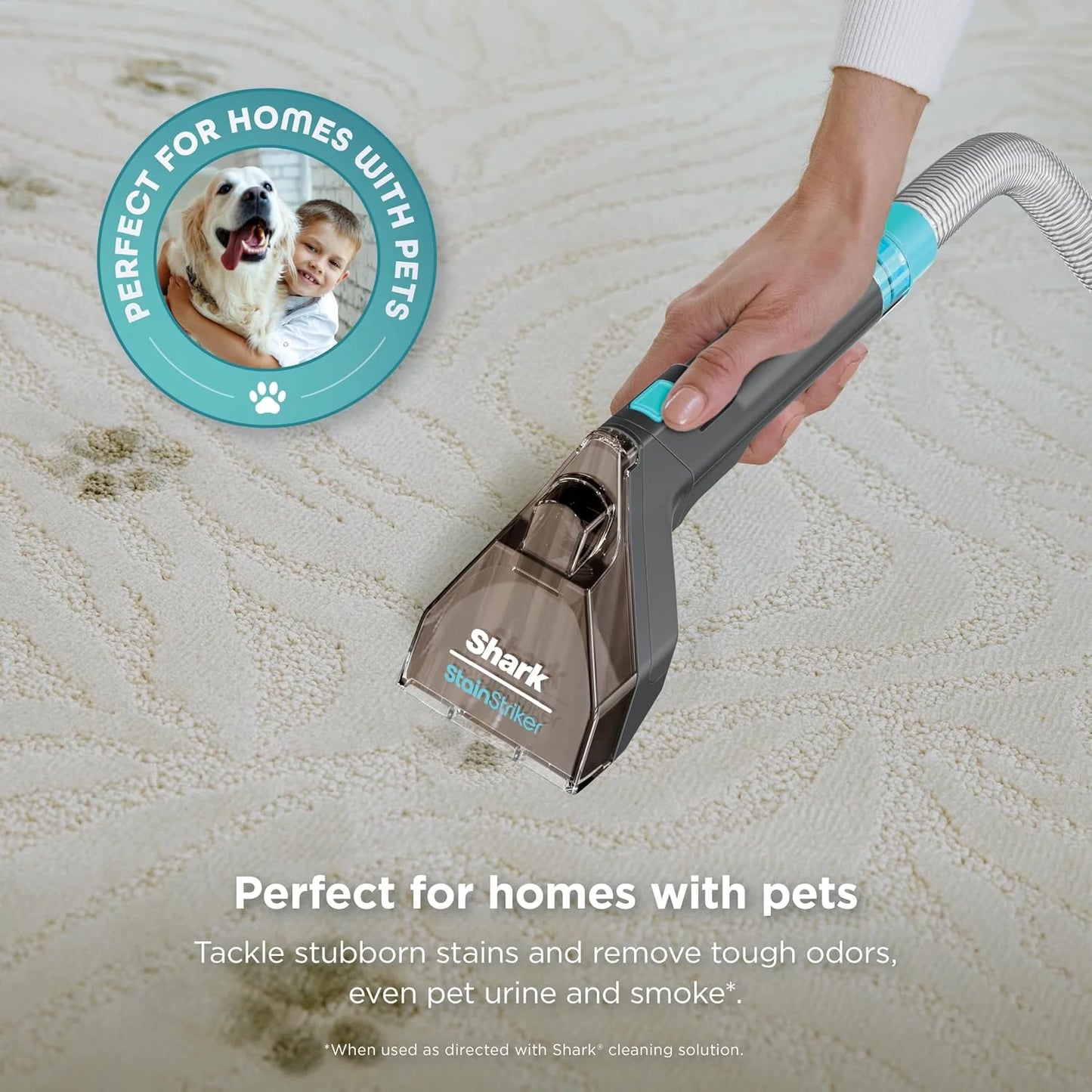 Shark StainStriker Portable Spot & Stain Cleaner, 2 Tools, PX221BRN