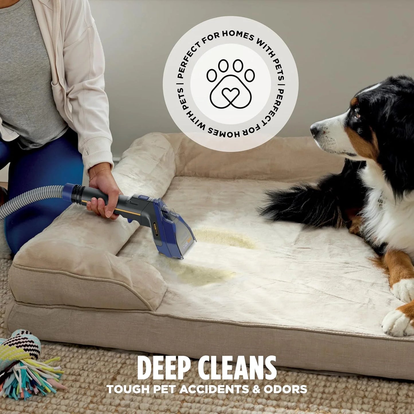 Shark CarpetXpert HairPro Carpet & Built-in Stain Cleaner, 2 Tools EX251BRN