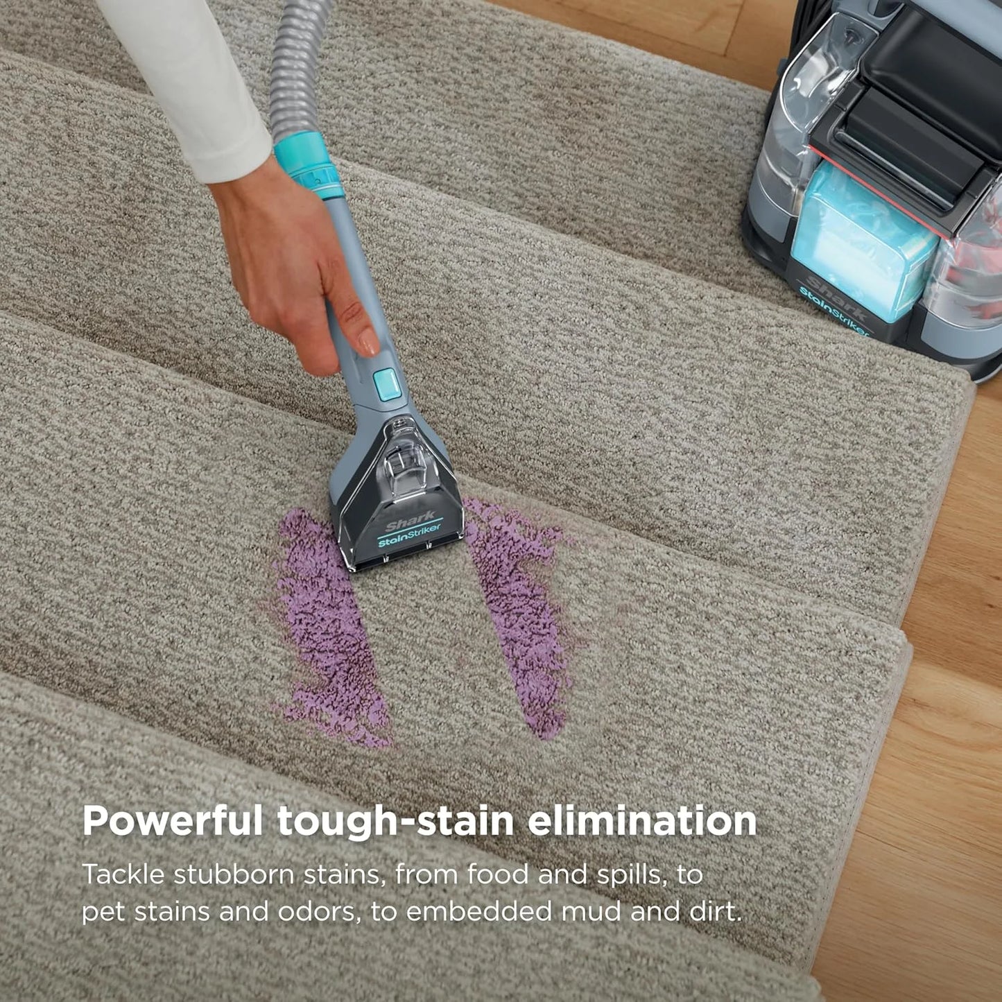 Shark StainStriker Portable Carpet/Upholstery Cleaner, 3 Tools, PX206BRN