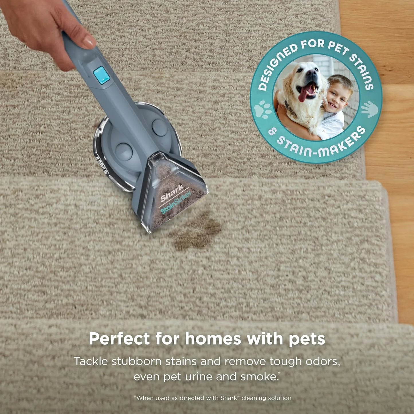Shark StainStriker Portable Carpet/Upholstery Cleaner, 4 Tools, PX202BRN