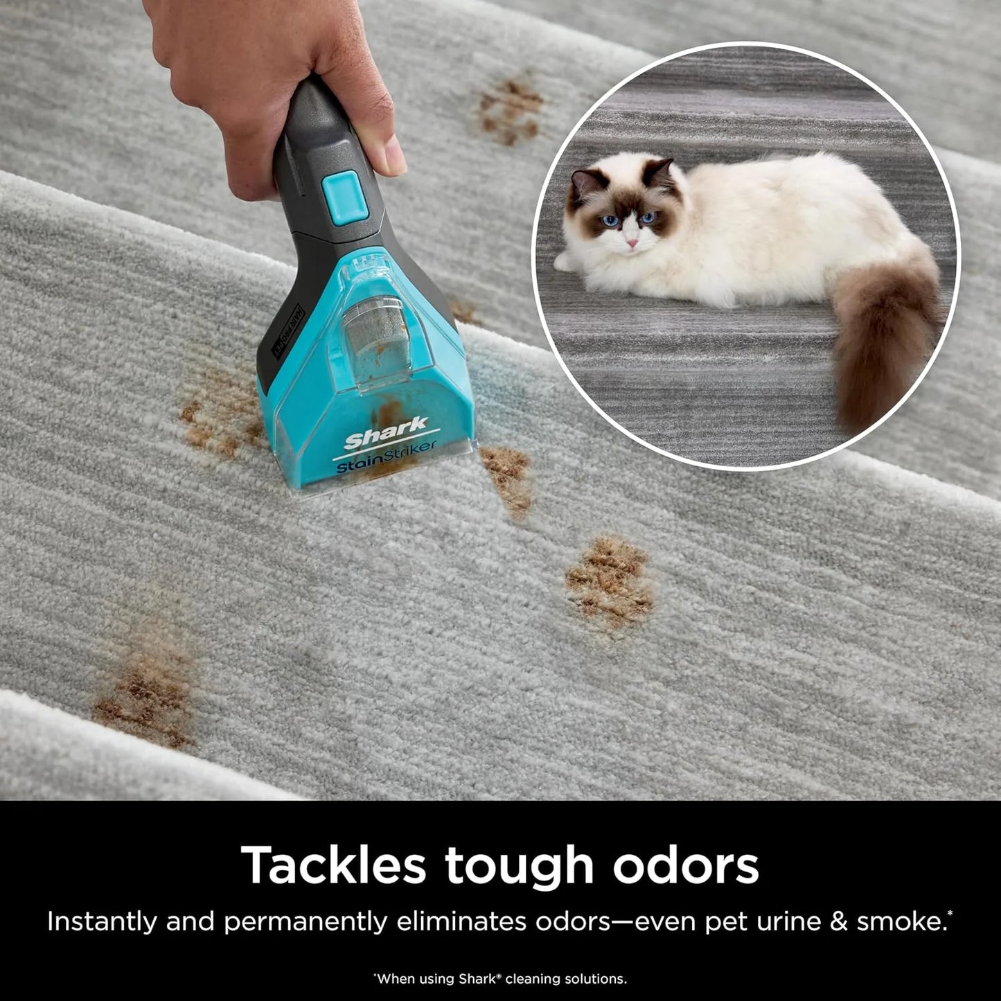 Shark Deep Clean Pet & OXY Formula Bundle for Tough Stains/Odor PXCPBUNDLE