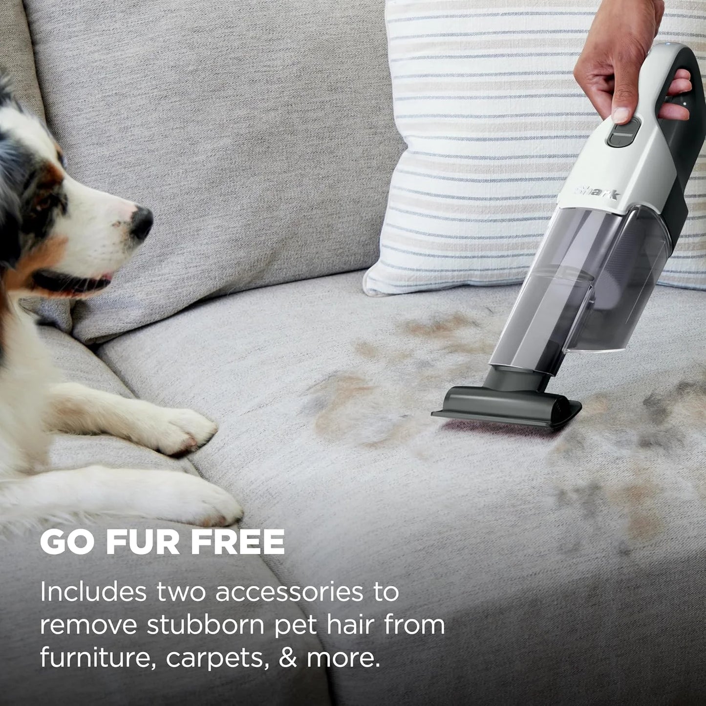 Shark Cyclone PET Handheld Vacuum, Pearl White, AA701