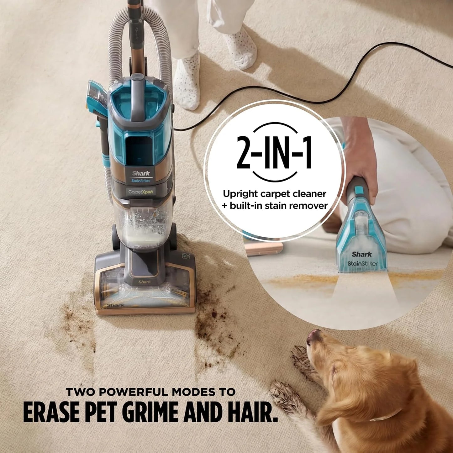 Shark CarpetXpert HairPro StainStriker Carpet & Stain Cleaner, EX301