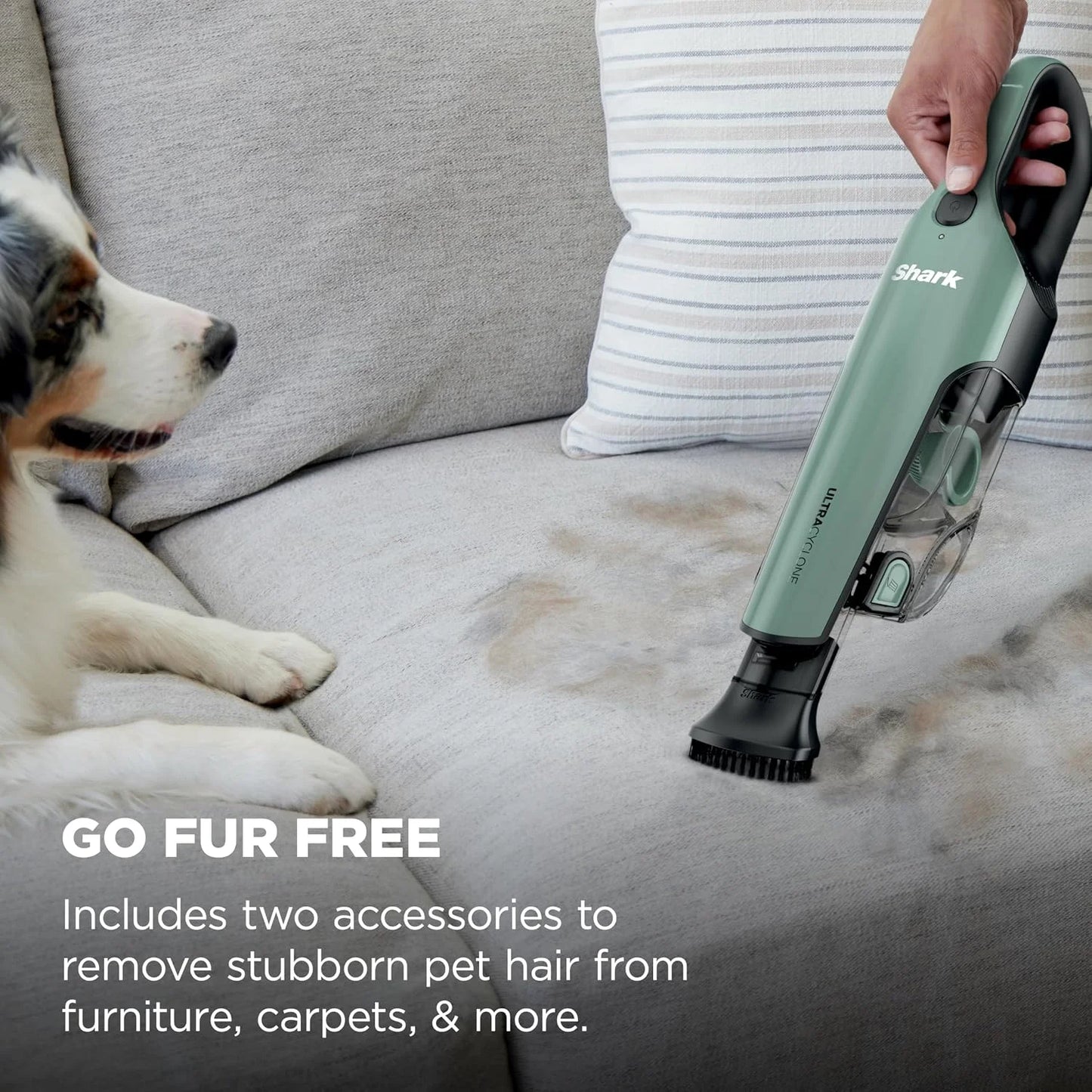 Shark UltraCyclone Pro Cordless Handheld Vacuum, Black/Green, CH901