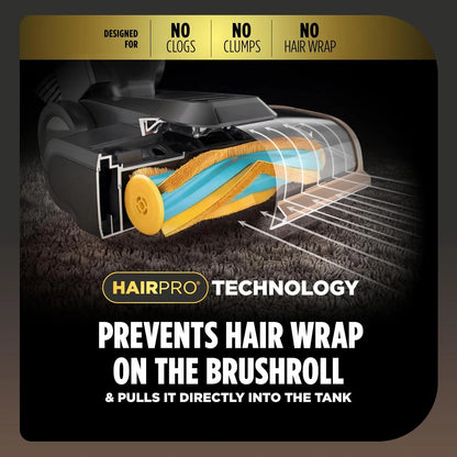 Shark CarpetXpert HairPro StainStriker Carpet & Stain Cleaner, EX301