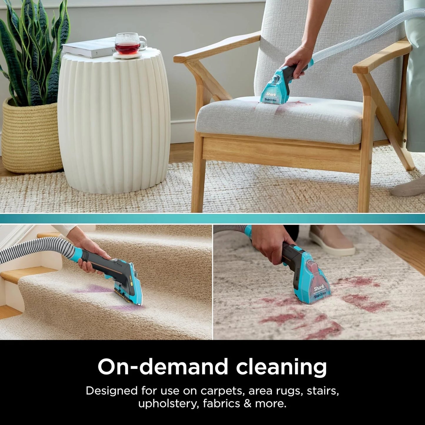 Shark Deep Clean Pet & OXY Formula Bundle for Tough Stains/Odor PXCPBUNDLE
