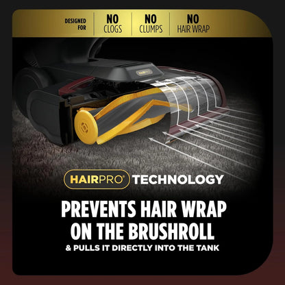 Shark CarpetXpert HairPro, Upright Carpet & Area Rug Cleaner, EX221BRN