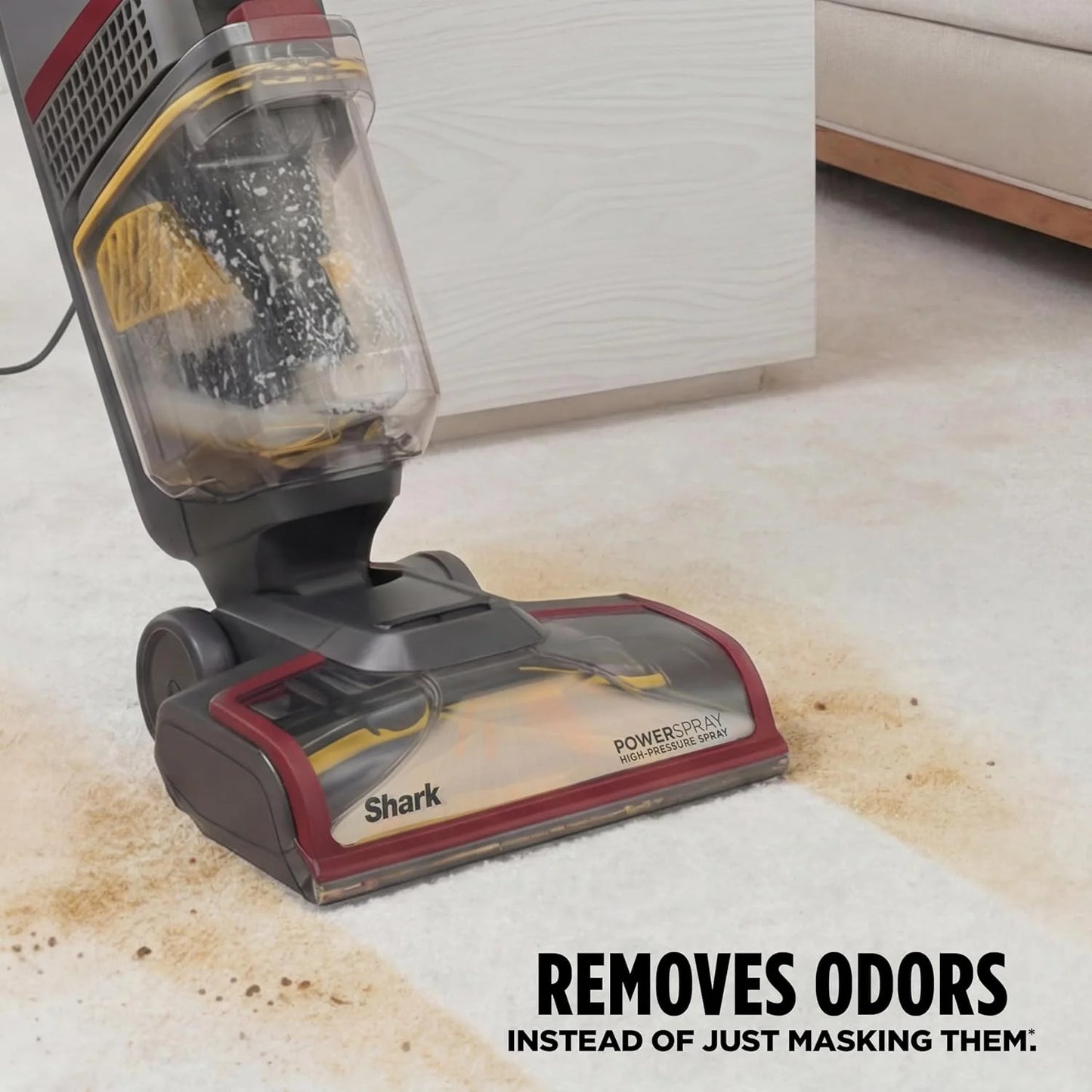 Shark CarpetXpert HairPro, Upright Carpet & Area Rug Cleaner, EX221BRN