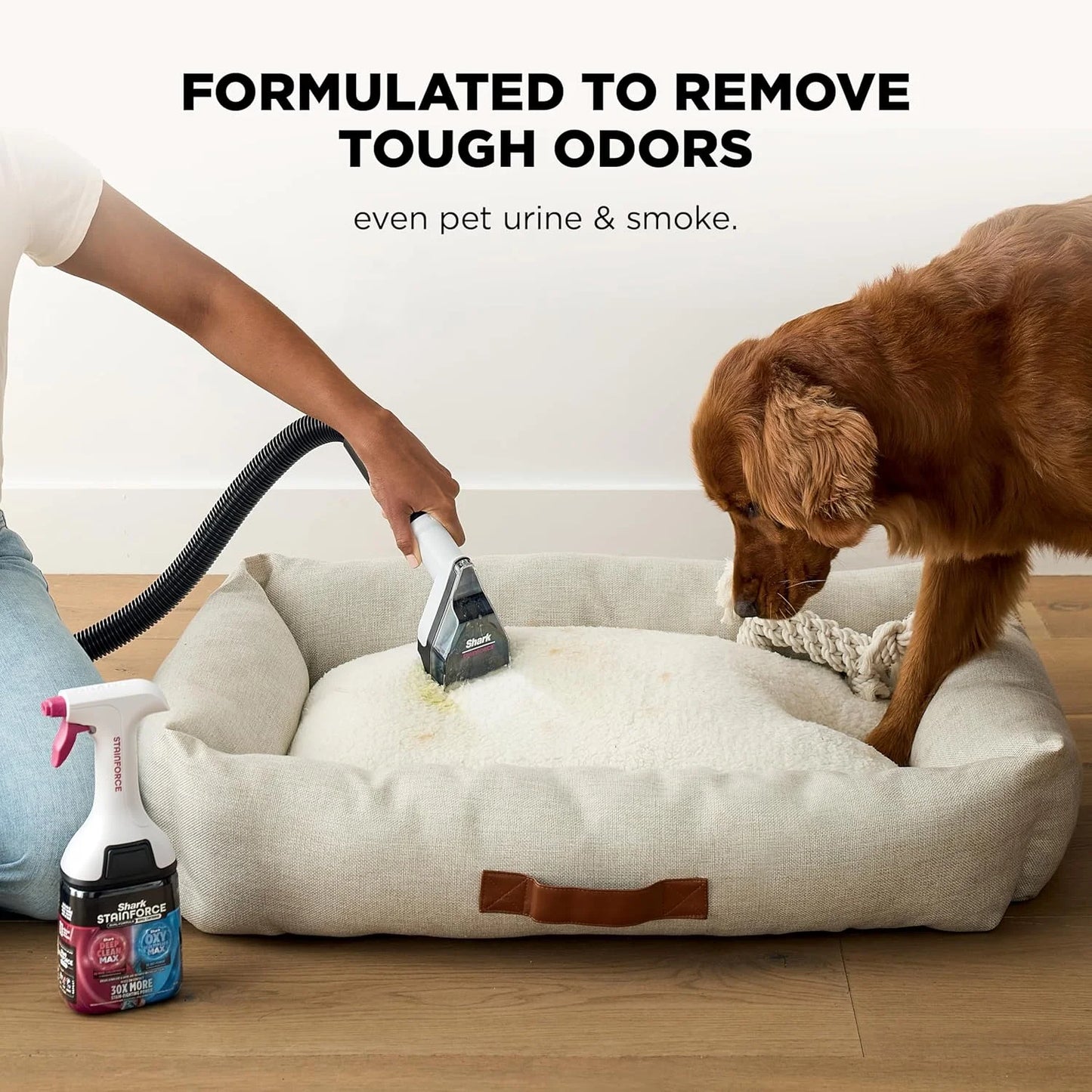 Shark EveryMess 3-in-1 Wet/Dry Vac & Stain Eliminator, 4 Tools VX101