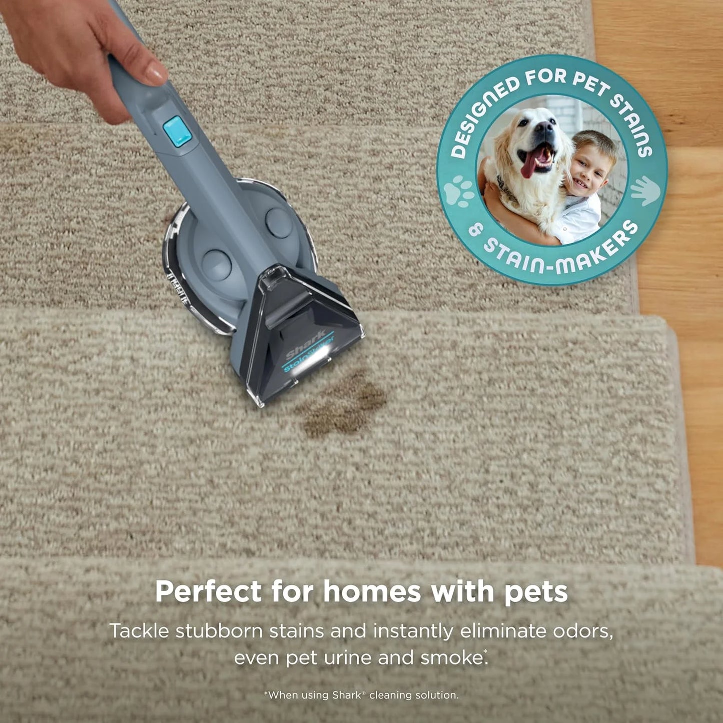 Shark StainStriker Portable Carpet/Upholstery Cleaner, 3 Tools, PX206BRN